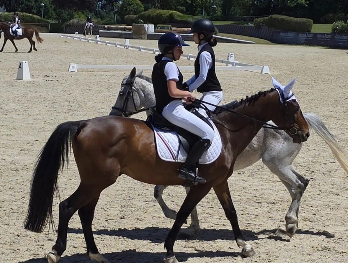 Lezione di equitazione 5