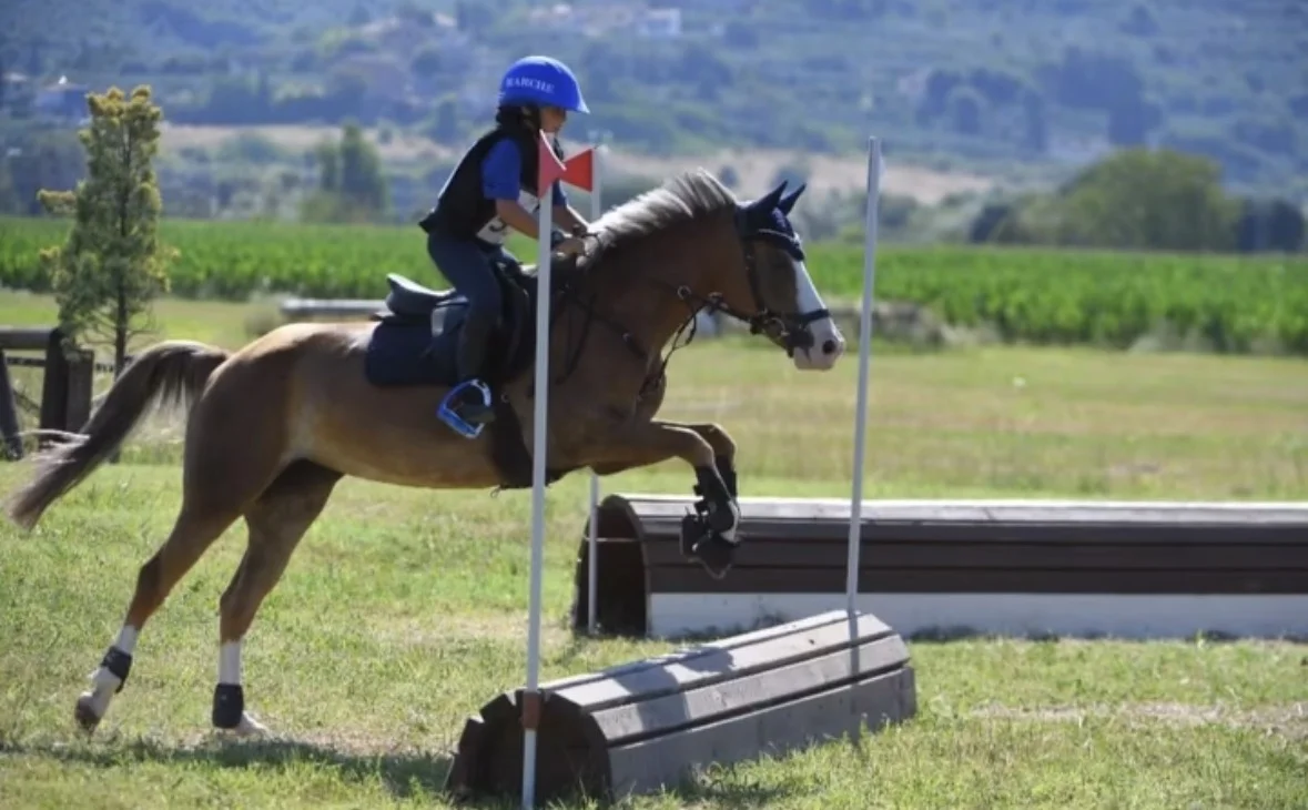 Lezione di equitazione 7