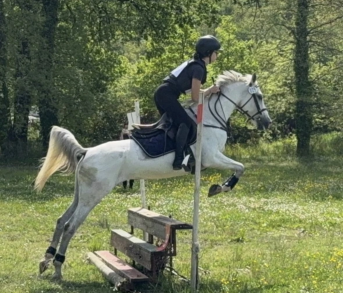 Lezione di equitazione 8