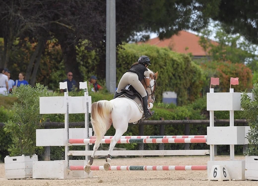 Lezione di equitazione 9